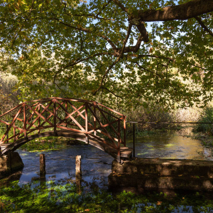 Polydrosos Souvala wooden footbridge over a stream nestled among verdant trees and greenery